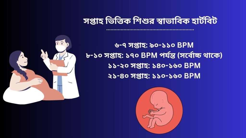 সপ্তাহ ভিত্তিক শিশুর স্বাভাবিক হার্টবিট